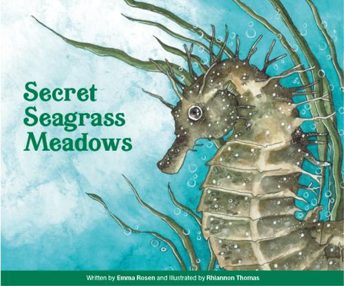 Secret Seagrass Meadows