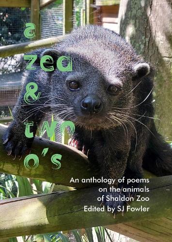 A Zed and Two O’s