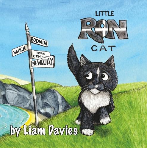 Little Ron Cat