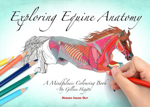 Exploring Equine Anatomy