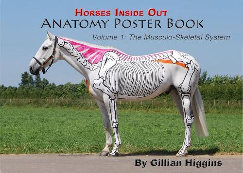 The Horses Inside Out Anatomy Poster Book