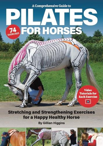 A Comprehensive Guide to Pilates for Horses