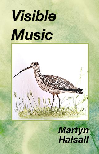 Visible Music