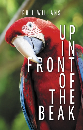 Up In Front The Beak