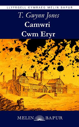 Camwri Cwm Eryr