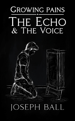 The Echo And The Voice