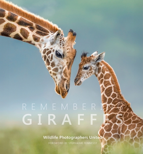 Remembering Giraffes