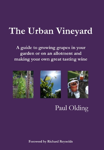 The Urban Vineyard