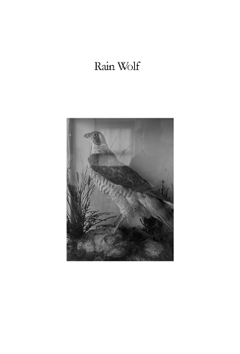 Rain Wolf