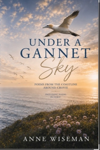 Under a Gannet Sky