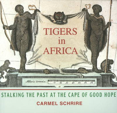 Tigers in Africa