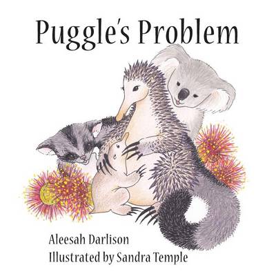 Puggle's Problem