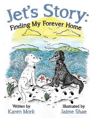 Jet's Story