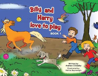 Billy and Harry Love to Play