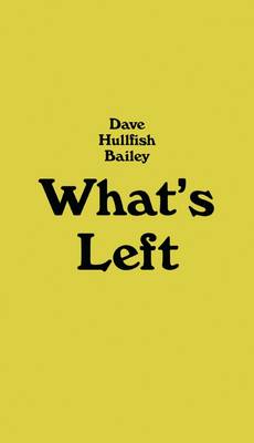 Dave Hullfish Bailey – What`s Left