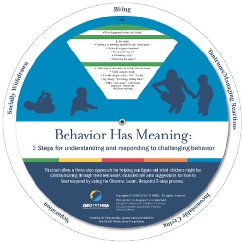 Behavior Has Meaning Wheels