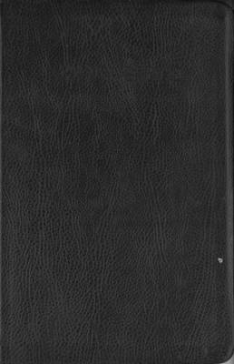 Everyday Reading Bible Black