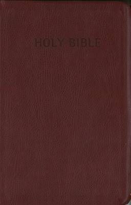 Everyday Reading Bible Burgundy
