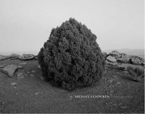 Michael Lundgren: Transfigurations