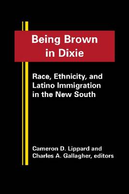 Being Brown in Dixie