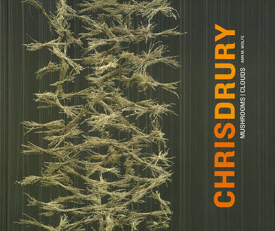 Chris Drury
