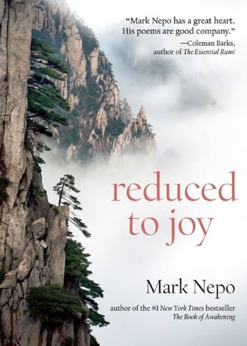 Reduced to Joy