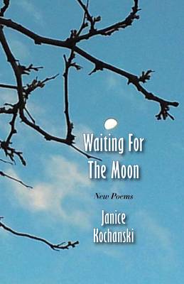 Waiting For The Moon