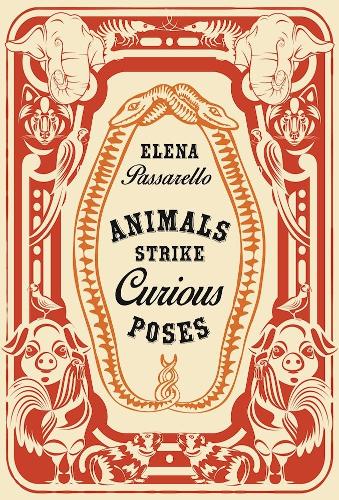 Animals Strike Curious Poses