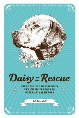 Daisy to the Rescue