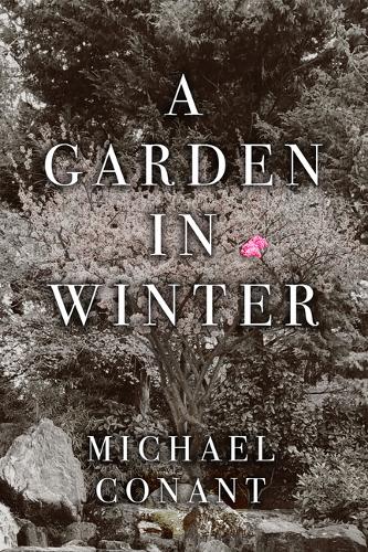 A Garden in Winter
