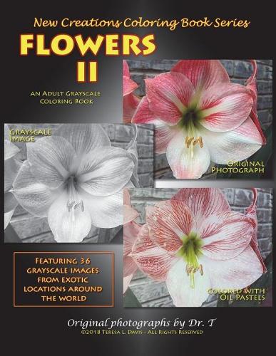 New Creations Coloring Book Series