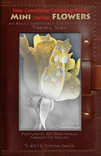 New Creations Coloring Book Series