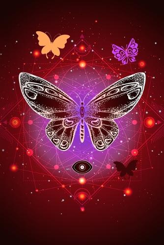 Pretty Butterfly