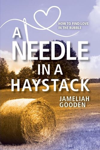 A Needle in a Haystack