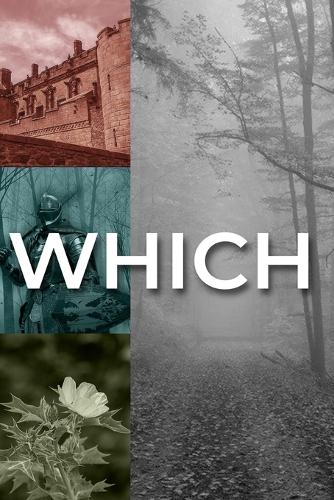 Which