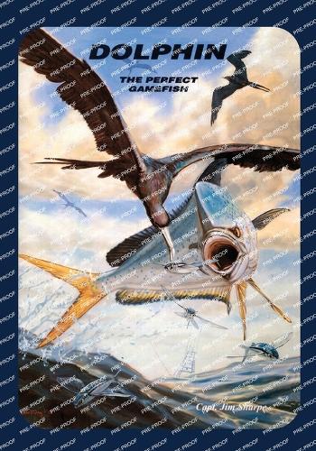 Dolphin