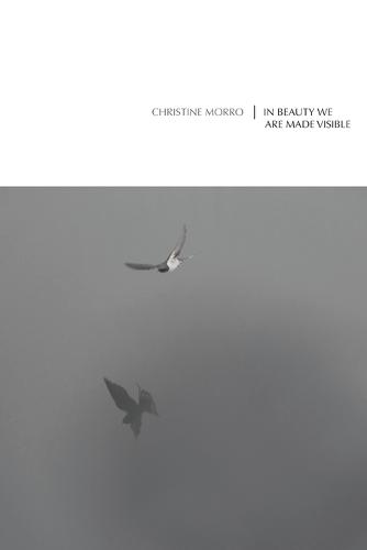 In Beauty We Are Made Visible