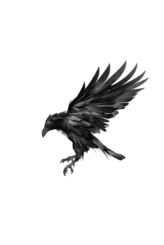 Murder of Crows