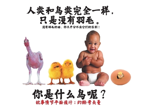 人类和鸟类完全一样,只是没有羽毛。