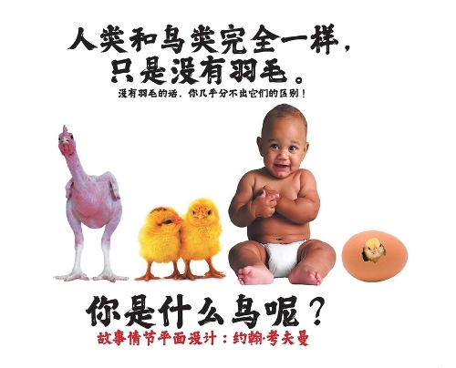 人类和鸟类完全一样,只是没有羽毛。