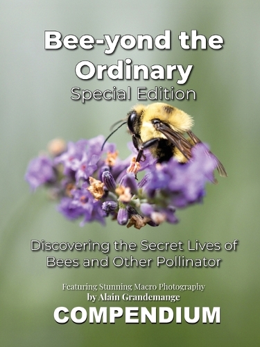 Bee-yond the Ordinary