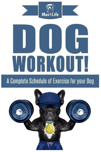 Dog Workout!