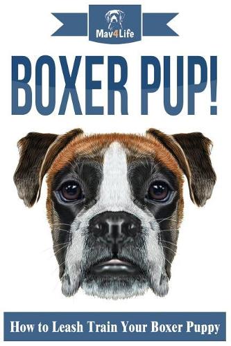 Boxer Pup!
