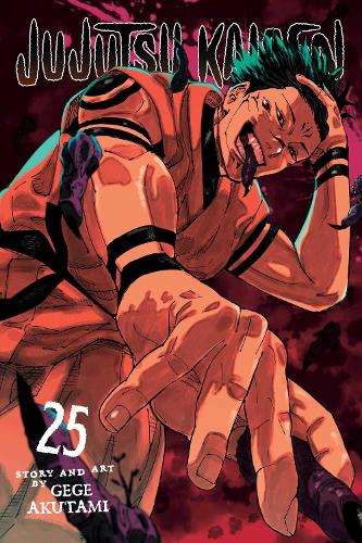 Jujutsu Kaisen, Vol. 25 Volume 25