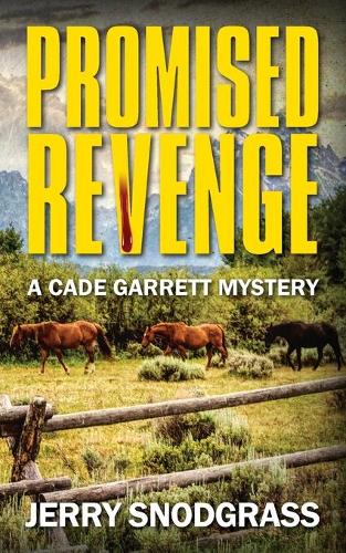 Promised Revenge
