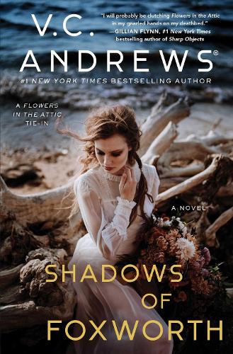 Shadows of Foxworth Volume 11