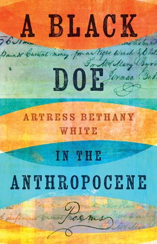 A Black Doe in the Anthropocene