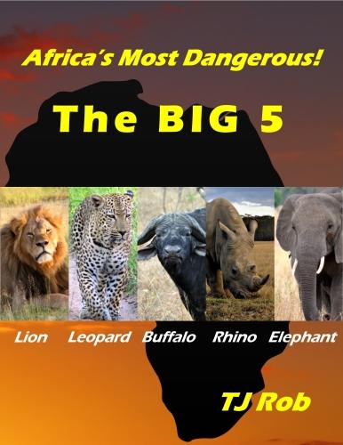 Africa's Most Dangerous - The Big 5
