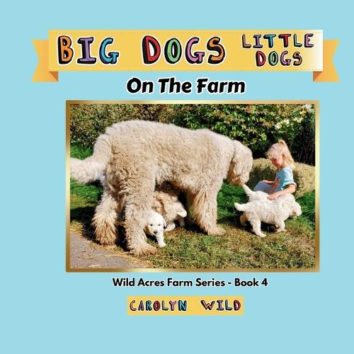 Big Dogs Little Dogs