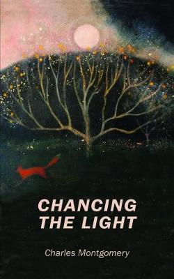 Chancing the Light